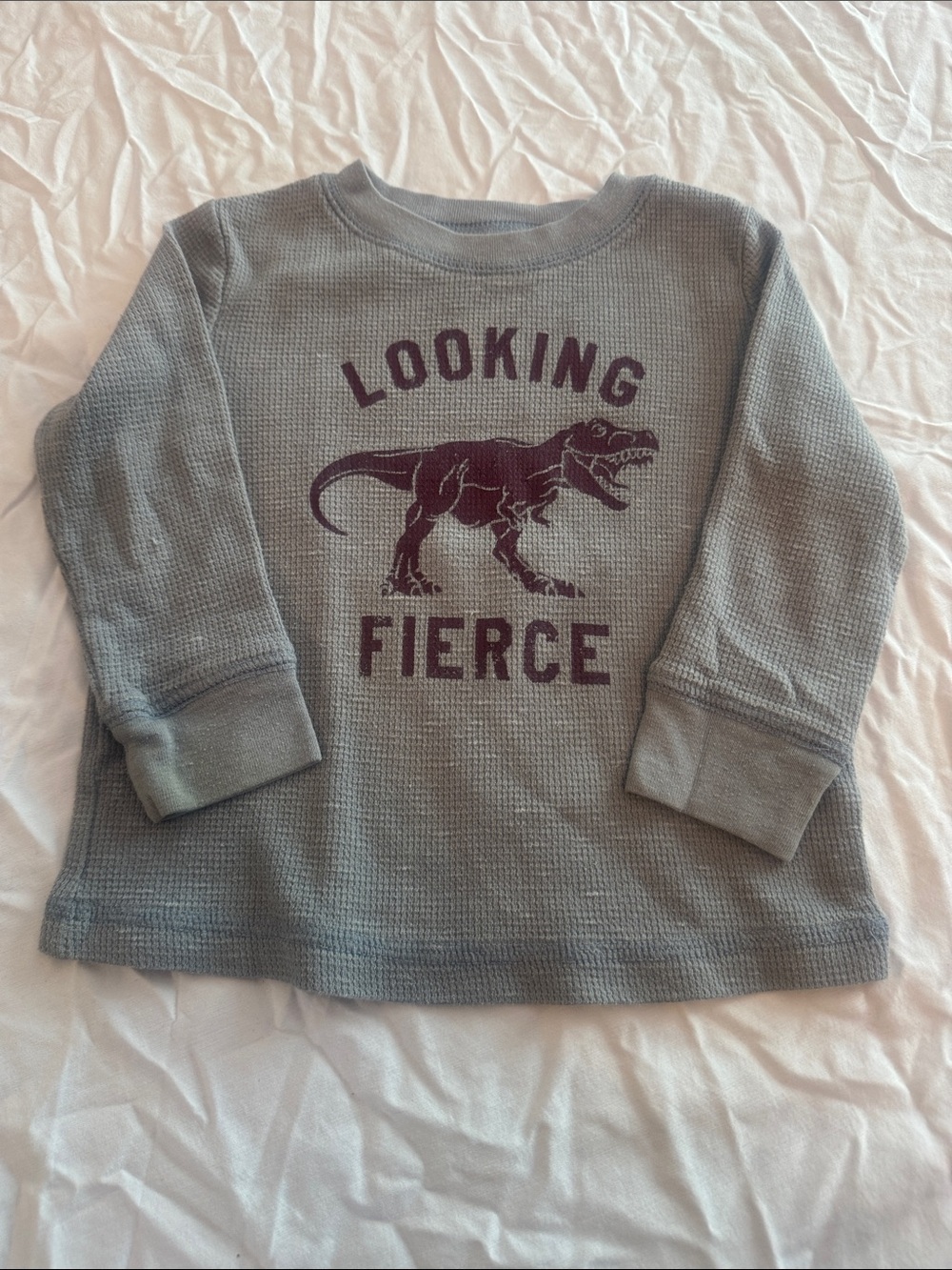 jumping beans 12m Grey Long-Sleeve 'Looking Fierce' Dino Tee